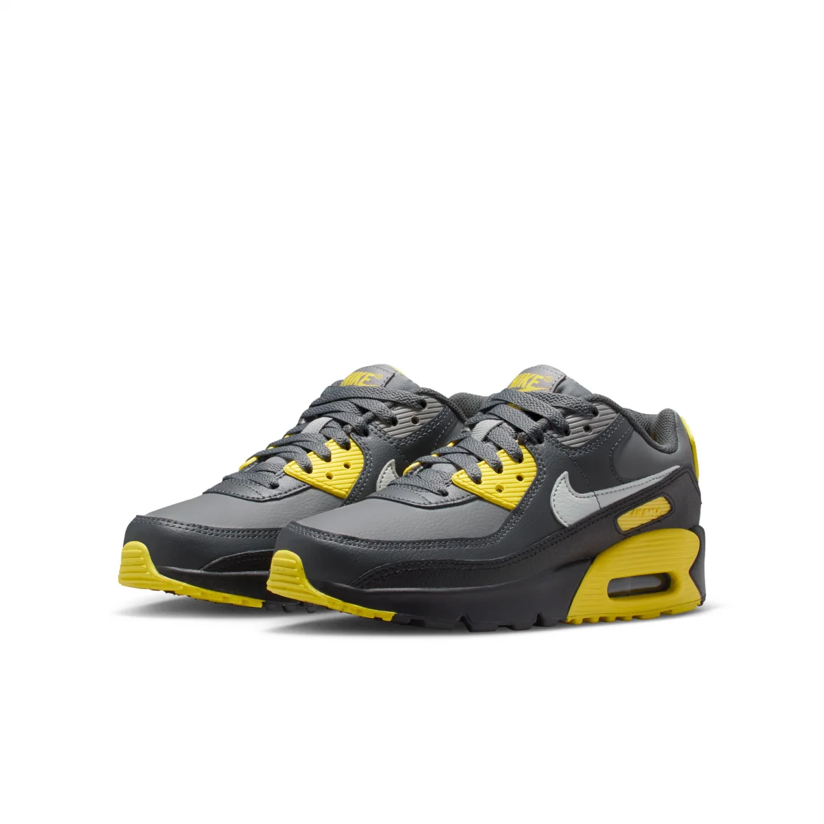 Nike Air Max 90 LTR