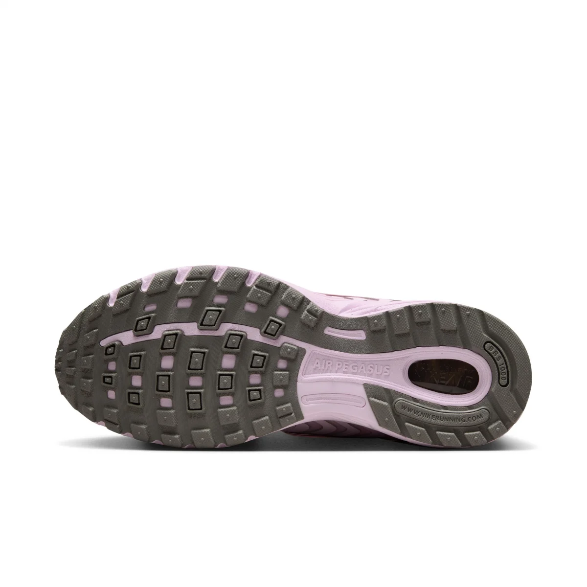 Nike Air Pegasus 2005