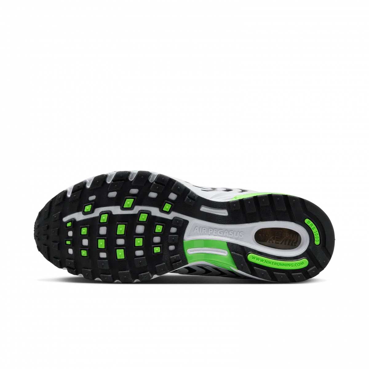 Nike Air Pegasus 2005