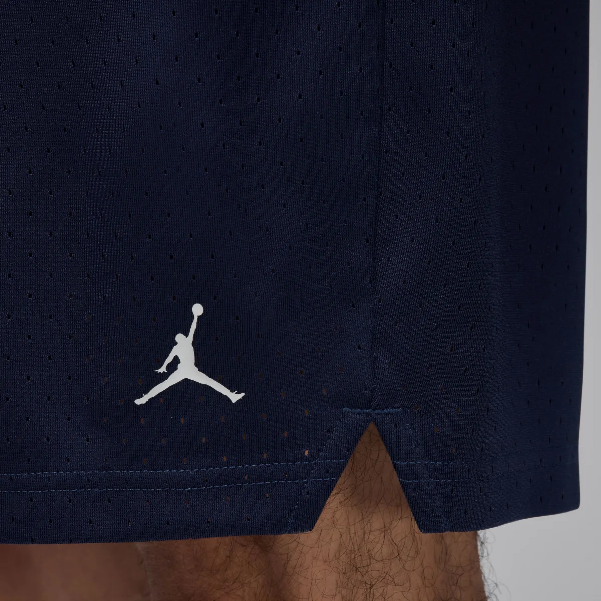 Jordan Sport Mesh Shorts